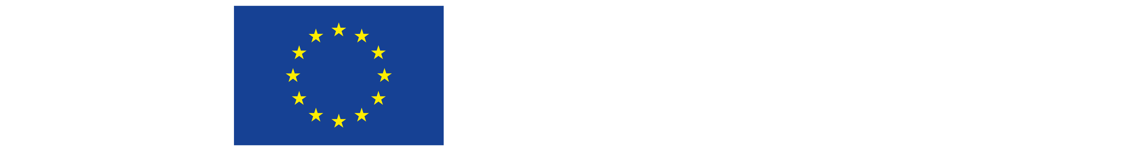 European Innovation Council. Co-funded by the European Union